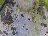 image of grave number 807827